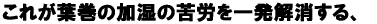 ꂪt̉̋JꔭA