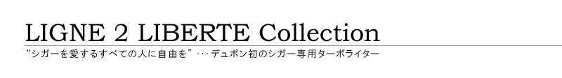 C2xeERNV@f|̃VK[p^[{C^[