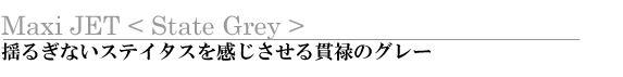 MaxiJet <State Grey> 邬ȂXeC^Xј\̃O[