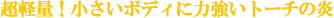 yʁI{fBɗ͋g[`̉